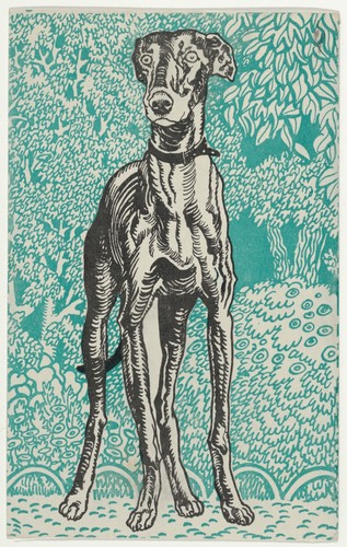 Greyhound 1912 moriz - 1912, jung
