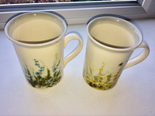 Botanical mug cup - botanical,