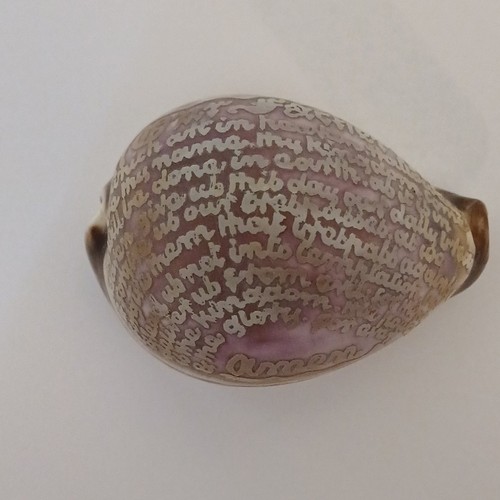 Cowrie shell engraved with the - cowrie,