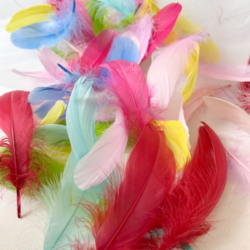 Colour loose feathers goose - colour,