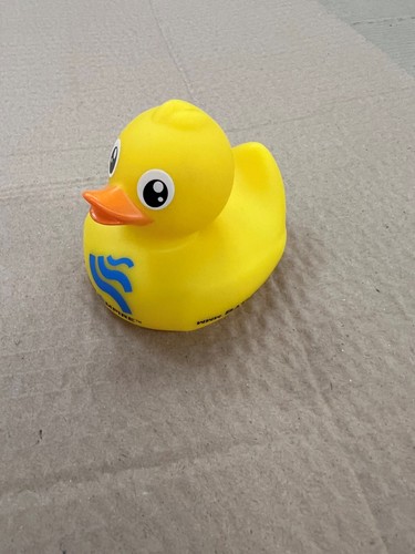 Yellow rubber ducks duck - rubber, ducks,