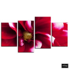 Flowers BOTANICAL   Floral BOX FRAMED CANVAS ART Picture HDR 280gsm