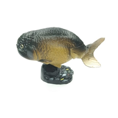 Ranchu goldfish kaiyodo - ranchu, choco