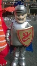 Knight Mascot Costume Made By