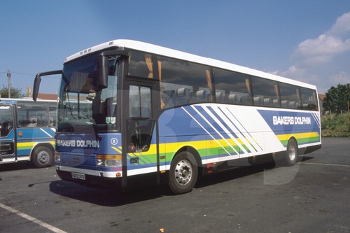 Coach photo bakers dolphin 2 - photo,