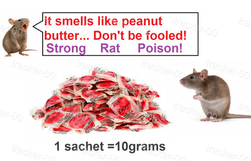 Rodent rat mouse strong - rodent,