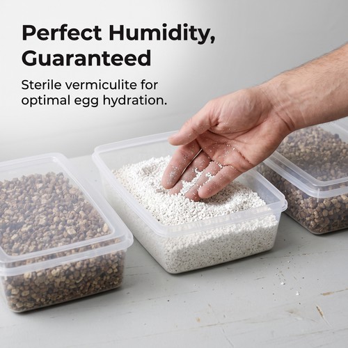 Plastic reptile egg incubator - reptile,