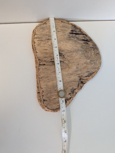 Flat shaped driftwood - flat,