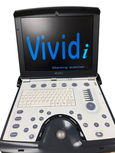 Vivid dom 2015 - vivid, i