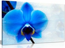 Blue Orchid Flower Canvas Wall