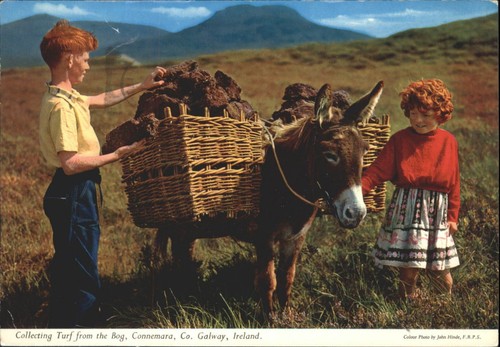 Vintage john hinde postcard - john,