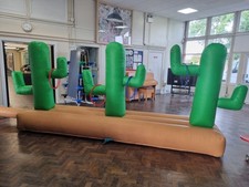 CACTUS Ring Toss Game Ideal Bouncy Castle Or Rodeo Bull Add On Great Condition