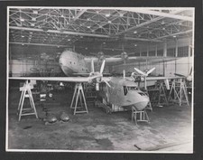 ORIGINAL PHOTOGRAPH  SHORTS