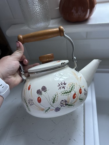 Vintage enamel stovetop tea - stovetop,