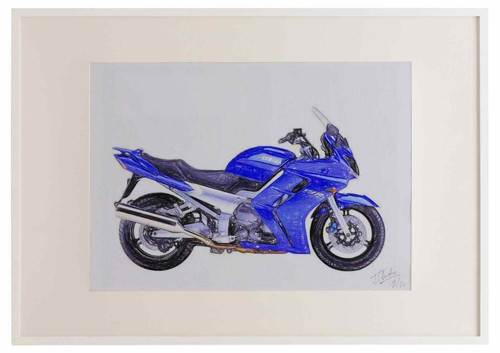 Yamaha fjr1300 2001 - fjr1300, framed