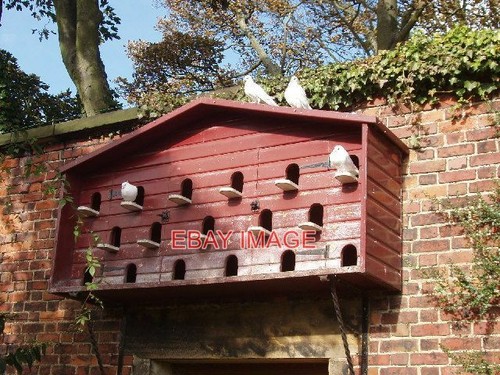 Photo dovecot alnwick - photo,