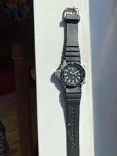 Citizen Aqualand Promaster