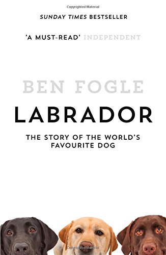 Labrador the story - labrador:, of