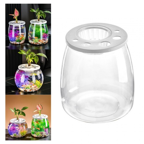 Fish tank with hollow top - fish,