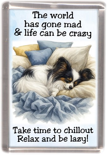 Papillon butterfly dog fridge - papillon,