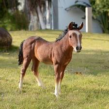 13.5" H Standing Horse Resin Statue Decor Farm Horse Yard Statue