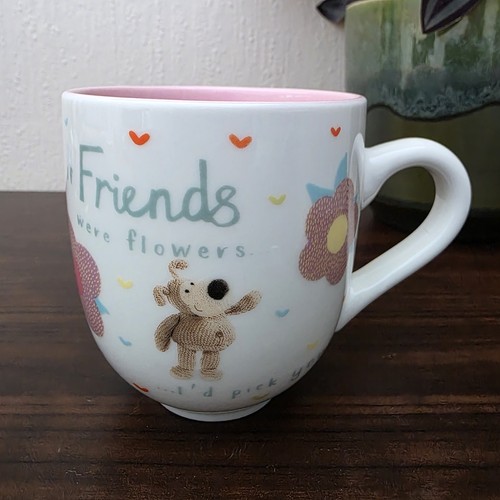 Boofle friends were - "if,