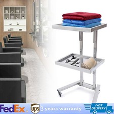 2 Tier Stainless Steel Trolley