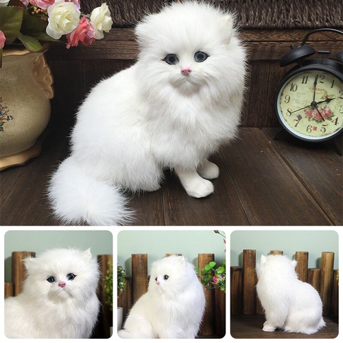 Realistic persian cat animals - realistic,