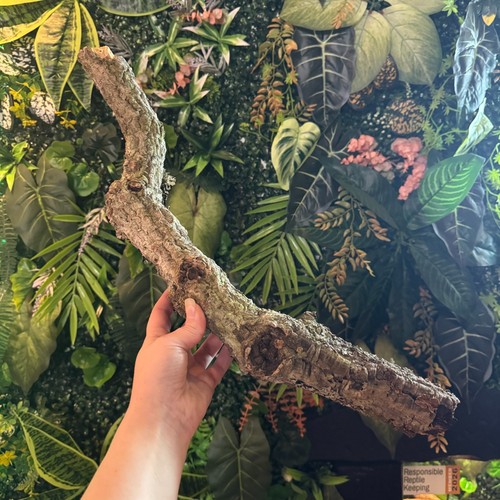 Small cork bark branch - bark, 30-50cm