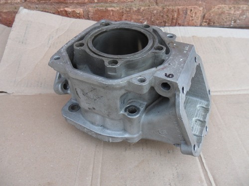 Rotax max mini - max,