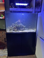 Complete Marine Aquarium Setup
