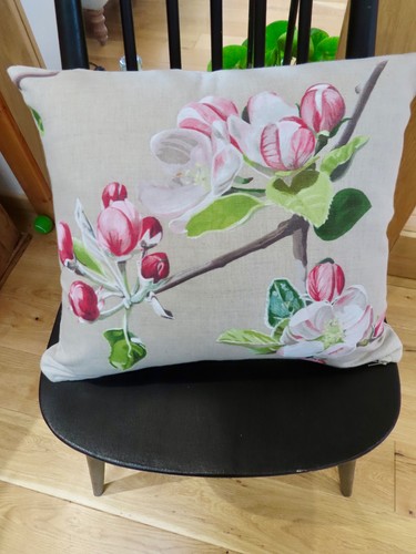 Manuel canovas 18 x - "manuel,