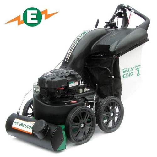 Billy goat 601 - goat, with
