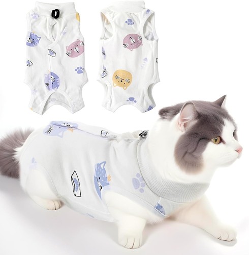 Cobee professional cat - cobee,
