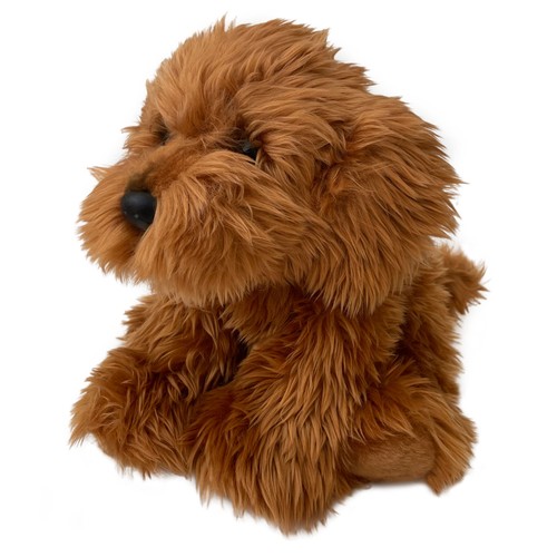 Cockapoo cavapoo labradoodle - cockapoo,