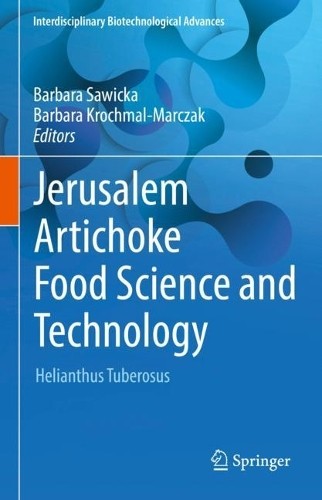 Jerusalem artichoke food - artichoke,