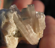 Gw - TOURMALINE var. ELBAITE + ACHROITE, MICROLITE - Kunar Valley, AFGHANISTAN