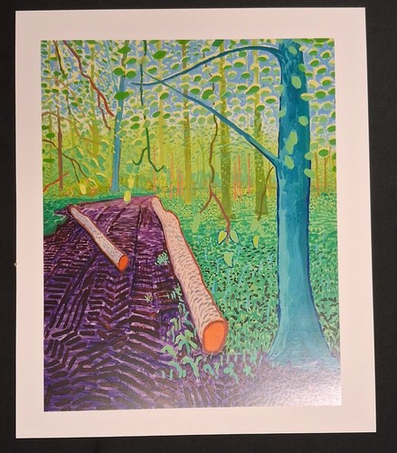 David hockney original print - david,