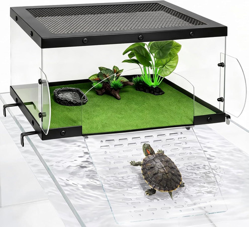 Xlarge turtle basking - xlarge,