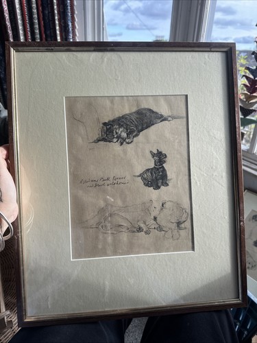 Cecil aldin framed print bull - cecil,