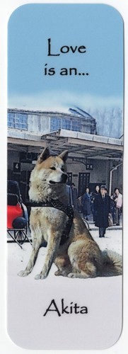 Akita dog beautiful - akita,
