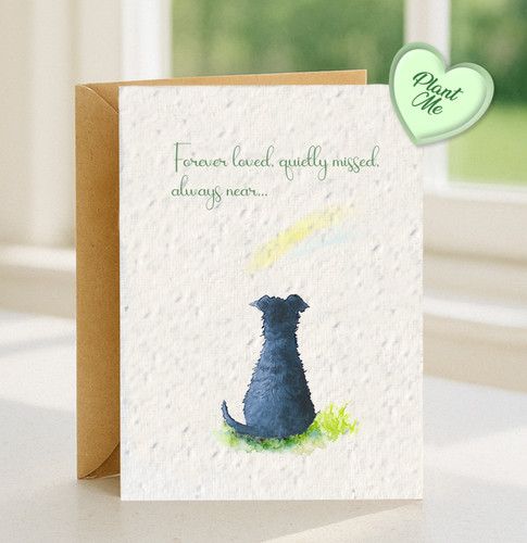Plantable pet bereavement - plantable,