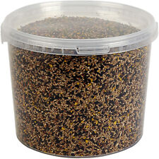 Canary Mixture Food, 3L Tub
