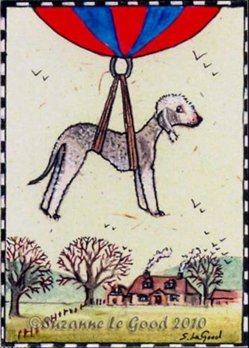 Aceo bedlington terrier dog - terrier,