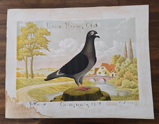 Antique Racing Pigeon Diploma