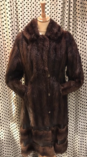 Brown glossy real - real, fur