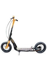 Zinc Radikal 12 inch Kids BMX