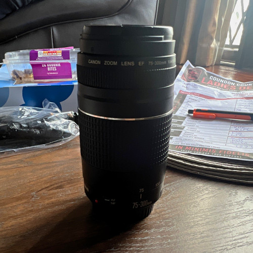 Canon 300mm 5 6 zoom - canon, ef