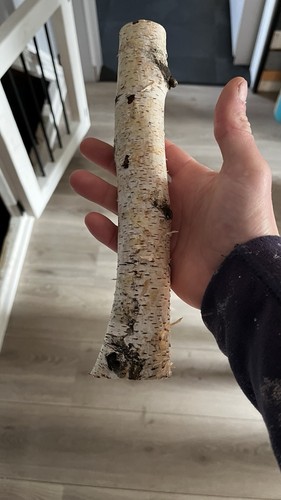 Silver birch logs 25cm each - logs,