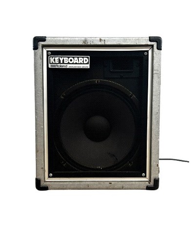 Roland cube silver - roland,